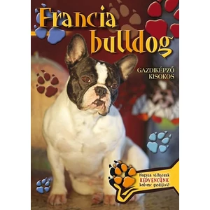 Francia bulldog - Gazdiképző kisokos