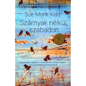 Sue Monk Kidd - Szárnyak nélkül szabadon