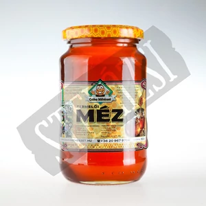 Vegyes virágméz - 500g